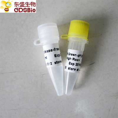 SYBR গ্রিন রিয়েল টাইম PCR মিক্স হাই ROX+ P2091b/P2092b