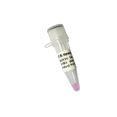 পাওয়ার গ্রীন QPCR মিক্স P2101 P2102 রিয়েল টাইম PCR মিক্স