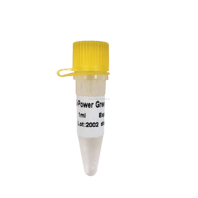 পাওয়ার গ্রিন QPCR মিক্স লো ROX+ রিয়েল টাইম PCR মিক্স P2101a P2102a