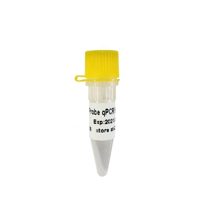 GDSBio HS প্রোব QPCR রিয়েল টাইম PCR মিক্স P2201 P2202