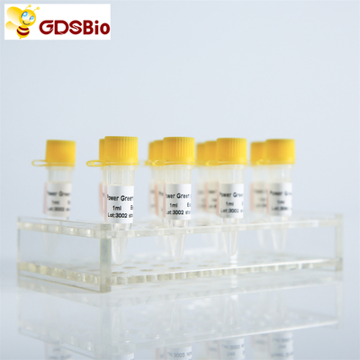 ROX P2101c P2102c সহ PCR-এর জন্য GDSBio পাওয়ার গ্রীন মাস্টার মিশ্রণ