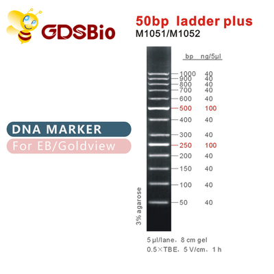 50bp ল্যাডার প্লাস DNA মার্কার M1051 (50μg)/M1052 (50μg×5)
