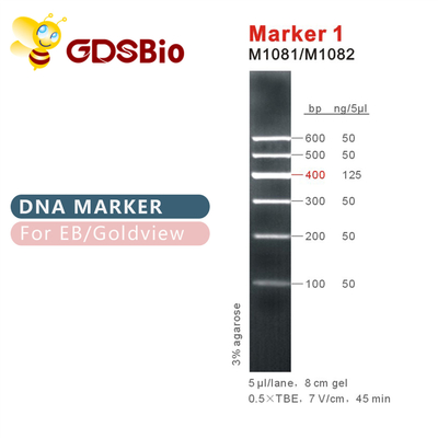 মার্কার 1 DNA মই M1081 (50μg)/M1082 (50μg×5)
