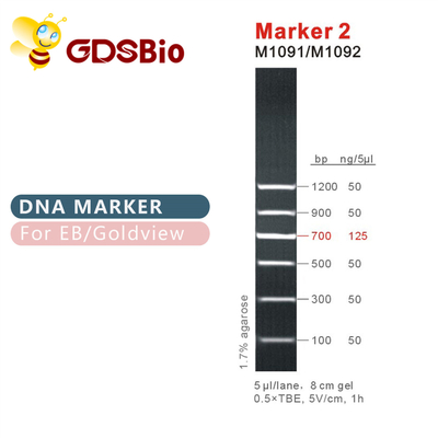 মার্কার 2 DNA মই M1091 ​​(50μg)/M1092 (50μg×5)