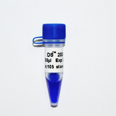 DS 2000 DNA মার্কার ল্যাডার M1101 (50μg)/M1012 (50μg×5)