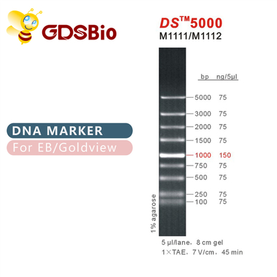 DS 5000 DNA মার্কার ল্যাডার M1111 (50μg)/M1112 (5×50μg)