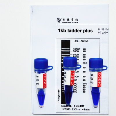 1kb ল্যাডার প্লাস 1000bp DNA মার্কার M1191 (50μg)/M1192 (5×50μg)