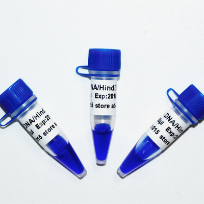 λDNA/Hind Ⅲ DNA মার্কার মই M1201 (50μg)/M1202 (5×50μg)