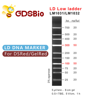LD লো ল্যাডার ডিএনএ মার্কার LM1031 (60 preps)/LM1032 (60 preps×3)