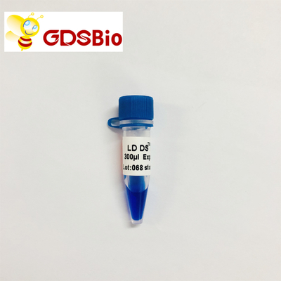 GDSBio LD DS 5000 DNA মার্কার ইলেক্ট্রোফোরেসিস নীল চেহারা