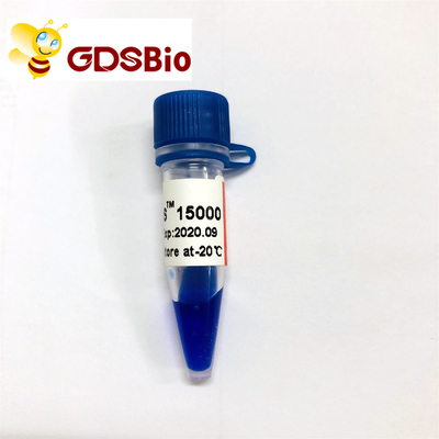 LD DS 15000bp 15kb DNA মার্কার ল্যাডার LM1161 (50 preps)/LM1162 (50 preps×5)