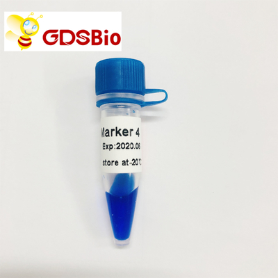 LD মার্কার 4 DNA মই LM1231 (50 preps)/LM1232 (50 preps×5)