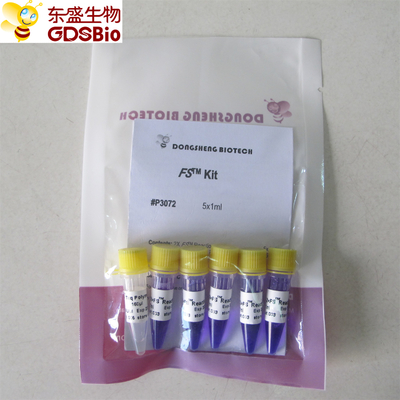 ডিএনএ আরএনএ নিউক্লিক অ্যাসিড সনাক্তকরণ P3072 1ml×5 এর জন্য FS PCR মাস্টার মিক্স PCR কিট