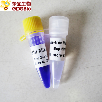 DNA RNA নিউক্লিক অ্যাসিড PCR সনাক্তকরণ Pfu PCR মাস্টার মিক্স P2021 1ml