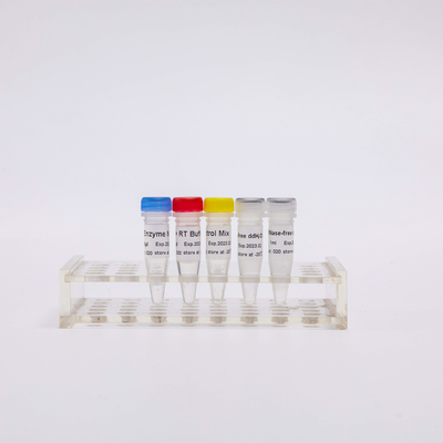 QPCR প্রিমিক্সড রিভার্স ট্রান্সক্রিপ্টেজ পিসিআর রিএজেন্ট R1031 এর জন্য RT PCR মিক্স
