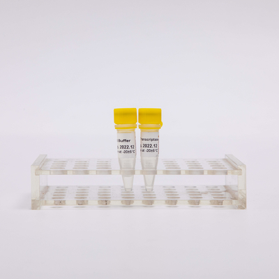 গোল্ড Rt PCR রিভার্স ট্রান্সক্রিপ্টেজ R3001 2000U R3002 10000U