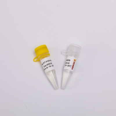 RNA রিভার্স ট্রান্সক্রিপশন RP1001 এর জন্য 2X ওয়ান স্টেপ RT PCR মিক্স
