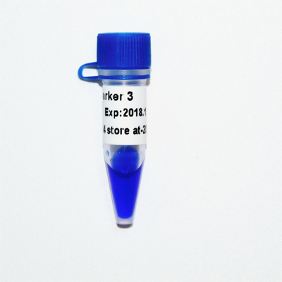 GDSBio মার্কার 3 ডিএনএ মার্কার জেল ইলেক্ট্রোফোরেসিস নীল চেহারা
