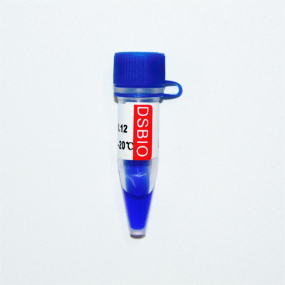 GDSBio মার্কার 3 ডিএনএ মার্কার জেল ইলেক্ট্রোফোরেসিস নীল চেহারা