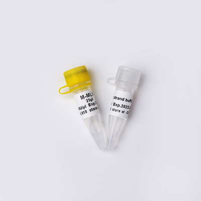 PCR R1041-এ বর্ণহীন চেহারা M-MLV রিভার্স ট্রান্সক্রিপ্টেজ