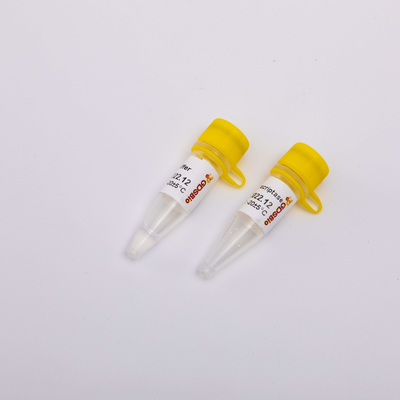 10000U গোল্ড রিভার্স ট্রান্সক্রিপ্টেস PCR R3002 বর্ণহীন চেহারা