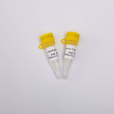 10000U গোল্ড রিভার্স ট্রান্সক্রিপ্টেস PCR R3002 বর্ণহীন চেহারা
