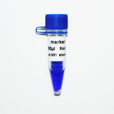 মার্কার 1 ডিএনএ মার্কার ইলেক্ট্রোফোরেসিস 400bp 50ug নীল চেহারা