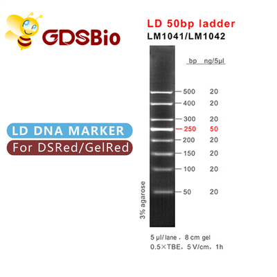 50bp DNA জেল ইলেক্ট্রোফোরেসিস মার্কার ল্যাডার GDSBio