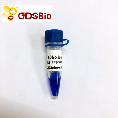 50bp DNA জেল ইলেক্ট্রোফোরেসিস মার্কার ল্যাডার GDSBio