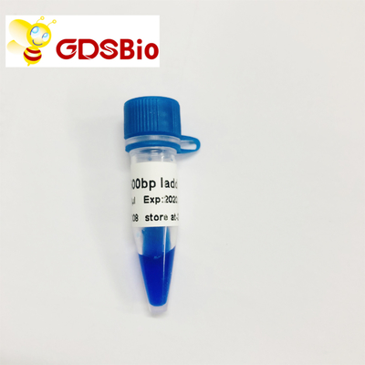 500bp LD DNA ল্যাডার জেল ইলেক্ট্রোফোরেসিস 60 প্রস্তুতি