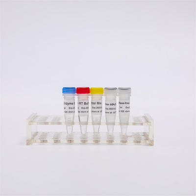 QPCR প্রিমিক্সড RNA রিভার্স ট্রান্সক্রিপ্টেজ পিসিআর রিএজেন্টের জন্য R1031 GDSBio প্রথম স্ট্র্যান্ড CDNA সংশ্লেষণ RT-PCR মিক্স