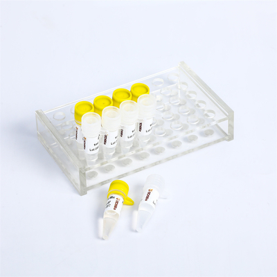 P2101 PCR মাস্টার মিক্স কিট 400 Rxn 20μL প্রতিক্রিয়া