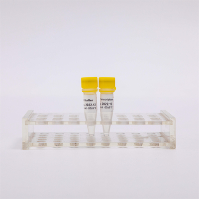 cDNA Rt PCR গোল্ড রিভার্স ট্রান্সক্রিপ্টেজ R3001 2000U R3002 10000U