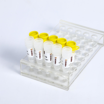 KASP PCR মাস্টার মিক্স P4021 P4022 SNP ইনডেলস সনাক্তকরণ
