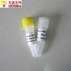 Real Time SYBR Green QPCR Mix P2091 P2092 Colourless Appearance