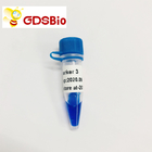 LD Marker 3 DNA Ladder Electrophoresis 60 Preps High Purity Reagents