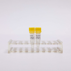 Gold Reverse Transcriptase PCR Reagents R3001 2000U