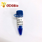 GDSBio LD Marker 3 DNA Marker Electrophoresis 60 Preps