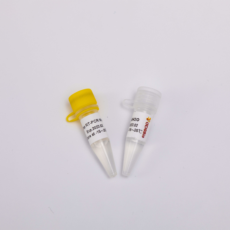 2X One Step RT PCR Mix For RNA Reverse Transcription RP1001